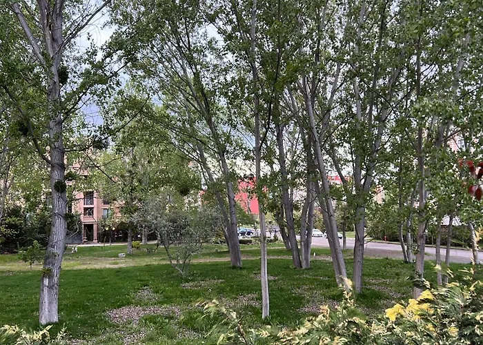 Aphrodite Park ساني بيتش