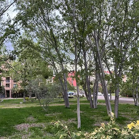 Aphrodite Park 阳光海滩